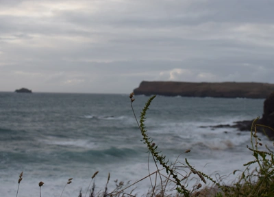 Coastal path near Trebetherick