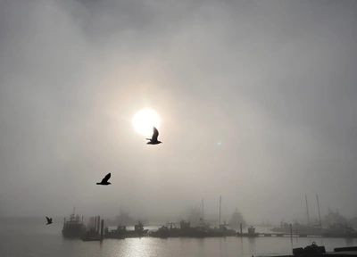 Ramsgate marina