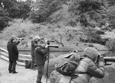 Some chaps taking photos of a park.