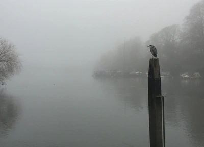 The Thames at Petersham, Richmond