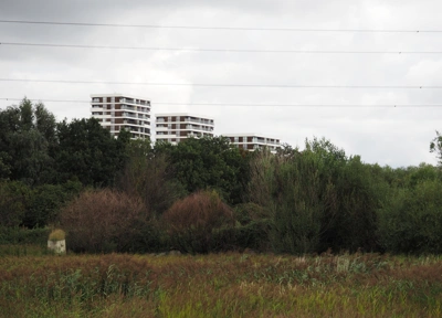 Flats across the East London Waterworks Park