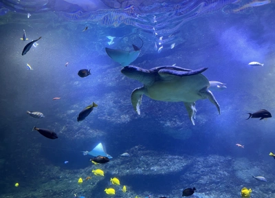 Biarritz Aquarium